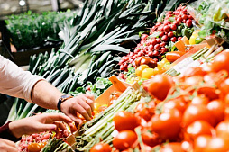 Свежие продукты